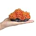 Danmu 1Pc of Polyresin Coral Ornaments, Aquarium Coral Decor for Fish Tank Aquarium Decoration 5.11″ x 3.93″ x 2.75″thumb 4