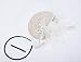 Cizoe Fascinators Hats 20s 50s Hat Pillbox Hat Cocktail Tea Party Headwear with Veil for Girls and Women(B-beige)