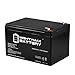 Mighty Max Battery ML15-12 12V 15AH F2 Razor Battery fits MX500 MX650, W15128190003 brand product