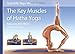 The Key Muscles of Hatha Yoga (Scientific Keys) by 