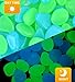 200 Pcs Glow Rocks Outdoor - Glow in the Dark Pebbles for Walkways and Decor in Bule & Green, Glowing Resin DIY Decorative Rocks for Driveway/Pathway/Flower Bed/Garden/Fish Tank/Aquarium/Landscape