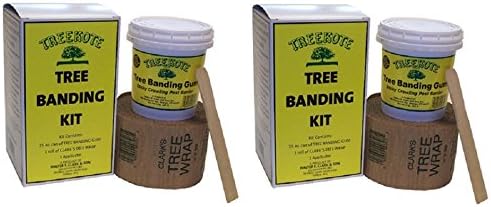 Treekote 300726 15 oz Tree Banding Sticky Gum Insect / Pest Barrier Kits - Quantity 2