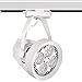 LEDHOLYT 35W(75w Equivalent) PAR30 24pcs LEDs White SpotLight Bulb E26 Project Tracking Light 24 Degree Beam (35W, White)