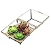 MyGift Vintage Brass & Glass Decorative Jewelry Box, Plant Terrarium Display with Lid