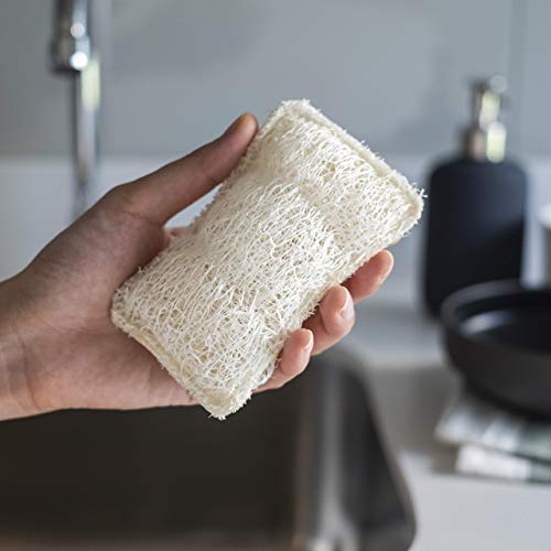 FAAY Eco Friendly Sponges for Dishes, MultiPurpose NonScratch Loofah