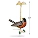 Hallmark Keepsake Christmas Ornament 2018 Year Dated, Beauty of Birds Robin
