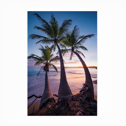 Trademark Fine Art Outdoor Canvas Art - Stefan Hefele 'Palmy Twilight' Wall Art…