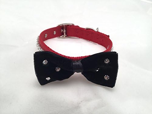 Red 14 inch Dog Collar Adorned with a Double Row of Swarovski Crystals and a Black Velvet Bow Tie. Designed for that Special Occasion or Perhaps The San Francisco Bark and Whine Ball!!
