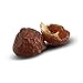 1 Kg (2.2 Pounds) Salveo Indian Soap Nuts Eco-Friendly Laundry Detergent