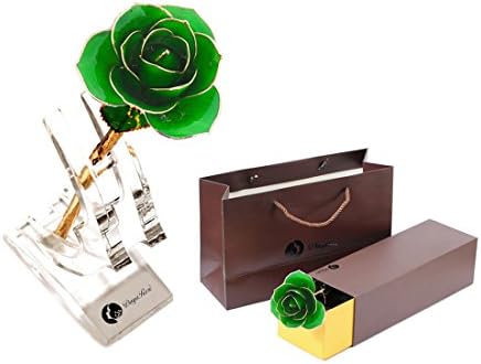 Dark Green Gold Dipped 24K Plated Real Rose 100% Natural Flower Long Stem Gift for Lover Valentine's Day Mother's Day Wife Daughter Birthday Anniversary Gifts+Stand+Gift Box Foil Trim