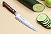 Yoshihiro VG-10 Hammered Damascus Stainless Japanese Chefs Knife Santoku 7'' (180mm) & Petty Utility Knife 5.3'' (135mm) SET