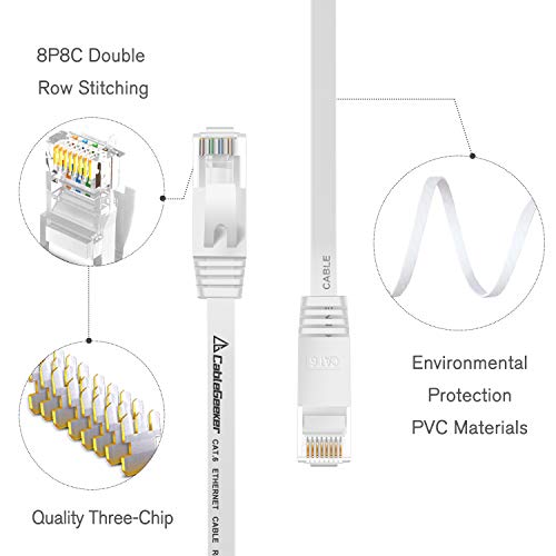 Cat6 Ethernet Cable 10-Pack 5ft - Flat Network Cables With Snagless RJ45 Connectors