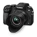 Panasonic LUMIX G7 4K Digital Mirrorless Camera 2 Lens Kit LUMIX G Vario 14-42mm F3.5-5.6 II ASPH + 45-150mm F4.0-5.6 DMC-G7WK Pro Bundle with Deco Gear Bag Monopod Filter Kit Software & Accessoriesthumb 3