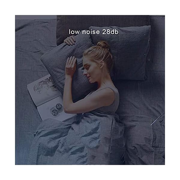 YANJ Portable Mini Fridge 12v 220v,Electric Cool Box Car refrigerator,Home And Car Dual Use Refrigeration And Heating Dual Use 18L Capacity 220V/12V LOLDF1