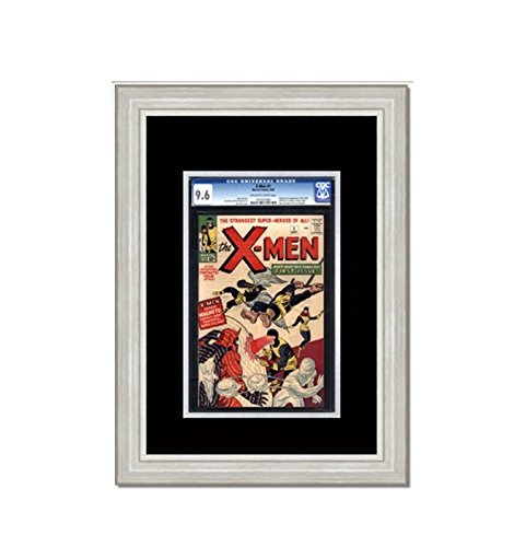 ECC FRAMES Standard Graded Comic Book Frame (CGC/CBCS) Silver Frame