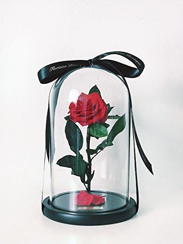 "Enchanted Rose" 100% Real Preserved Rose In A Glass Dome, Last Up to 5 Years, Inspired By Beauty And The Beast, Hot Sale 2018, Mother's Day Gift, Preserve Roses, Eternal Rose