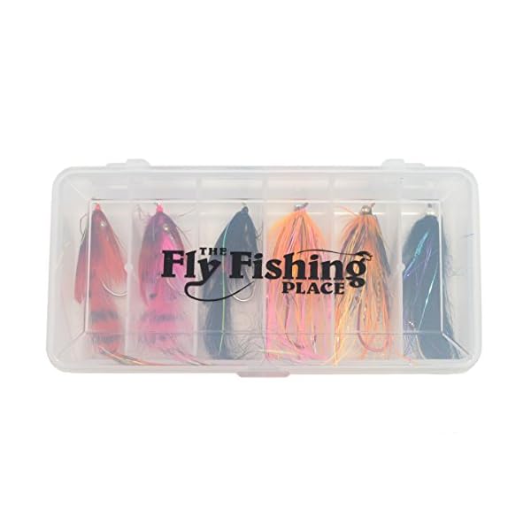 Steelhead-Fly-Fishing-Flies-Assortment-6-Aqua-Flies-3-Motion-Prawns-1-Electric-Leech-2-Mini-Intruders-1-Each-of-6-Essential-Steelhead-Color-Flies-Fishing-Fly-Collection-with-Fly-Box