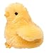 Douglas Yellow Chick