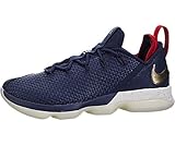 Nike Lebron XIV Low Mens Basketball Shoes