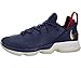 Nike Lebron XIV Low Mens Basketball Shoes