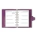 Filofax 2019 Pocket Finsbury Organizer, Raspberry, Paper Size 4.75 x 3.25 inches (C025342-19)