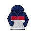 Crazy 8 Baby Boys' Blocked Fleece Hoodie
