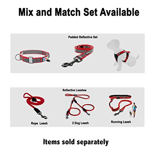 Pawtitas Pet Reflective Adjustable Soft Dog Collar Martingale Training Teal Small 5/8 Inch