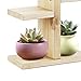 Plant Stand, Small Wood Plant Shelf for Succulent Tabletop Window Flower Garden Rack 6 Tiers for Indoor/Outdoor Decor&Plant Displaythumb 3