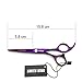 5.5 Inches Hair Scissors with Thinning Comb Hair Cutting Shears Thinning Shears Set for Professional and Personal (Violet)