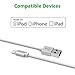 [Apple MFi Certified] Zendure® 12 inch (30 cm) Nylon Braided USB Charge/Sync Cable with Lightning Connector for iPhone 6/6 Plus, iPad Air 2 and More (Silver)