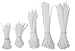 Gardner Bender 50098N Assorted Cable Ties, 4, 6, and 8 inch, 18 and 45 lb, Electrical Wire and Cord Management, Nylon Zip Tie, Reusable Container, 500 Pk, Natural