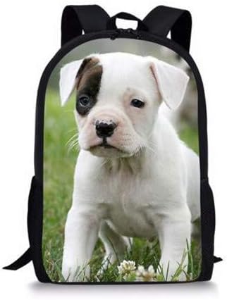amazon prime book bags