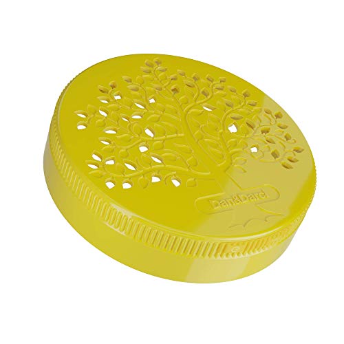 2 Dan+Darci+Bright+Light+Terrarium+Children