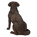 Hi-Line Gift Ltd Labrador Retreiver Sitting Statue, Yellow