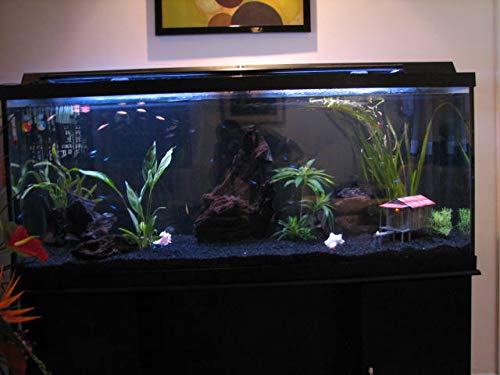 Aquarium Safe Epoxy Resin - MAX ACR A/B Coating, Casting, Adhesive, Fiberglassing Resin for Making Plywood Aquarium & Terrarium -Wood Sealant, Concrete Coating for Koi Ponds, Fresh Or Saltwater Safe