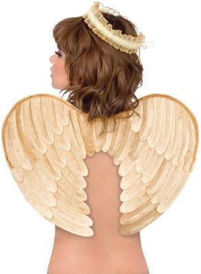 Costumes 194696 Velvet Angel Wings and Halo- Gold Adult: Amazon.co ...