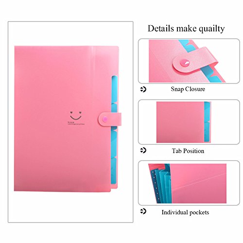 Classification Folders Portable File Folder Tabs Lateral File Folders Accordion File Jackets