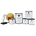 Giani Granite Small Project Paint Kit- White Diamond