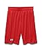 Under Armour UA Challenger Knit YLG Risk RED
