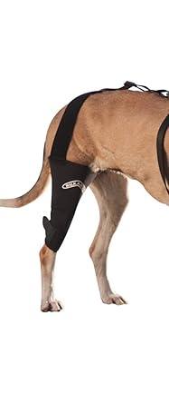 walkabout harness knee brace