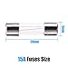 20 Pack F15AL Fast-Blow Fuse 15A 125V/250V Glass Fuses 5 x 20 mm (15amp) (F15A) by FENGWANGLI