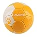 EVERICH TOY Soccer Balls for Toddlers-Baby Ball Set-Toy Ball for Outdoor/Indoor (Size 2 Toddler Soccer Ball,with Pump)