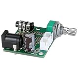 Parts Express PAM8610 2 x 10W Class D Audio Amplifier Board