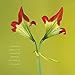 Bloom 2017 Wall Calendar: Flower Photography by Ron Van Dongen