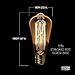 6 Pack Edison Bulb 60 Watt - ST64 - Squirrel Cage Filament - Dimmable, Soft, Warm Color, Edison Style Vintage Light Bulbs