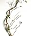 Hamiledyi 4 Pcs Flexible Bend A Branch Jungle Vines Terrarium Leaves Lizard Gecko Habitat Tank Decor for Frogs Snakes and More Reptiles