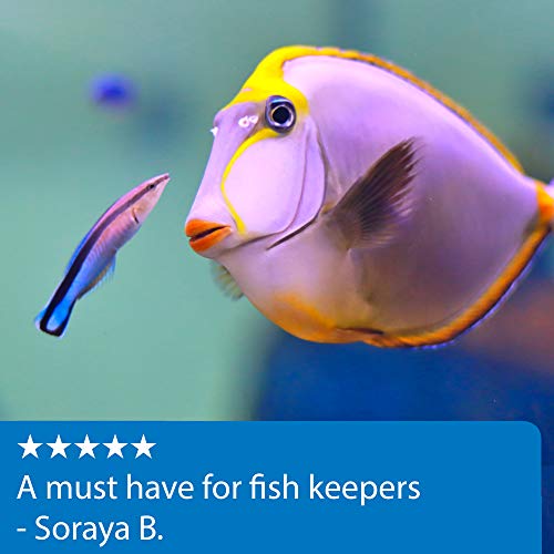 6 API+SALTWATER+550+Test+Saltwater+Aquarium