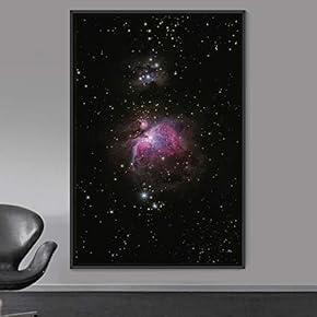 signwin Framed Canvas Wall Art Beautiful Landscape Canvas...