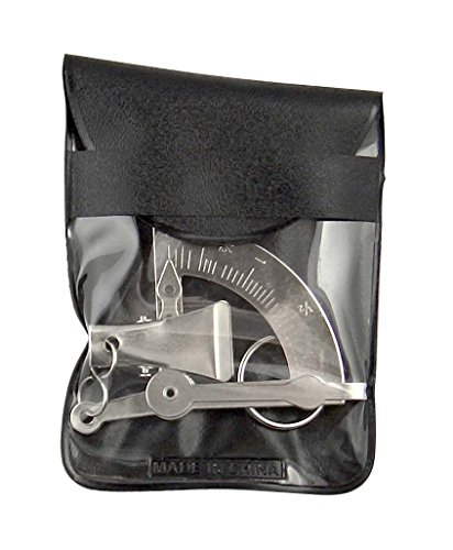 AMERICAN WEIGH SCALES Letter Postage or Kitchen Digital Scale, Silver, 100G x 1G (AMWHAND-SIL)