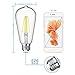 Vintage LED Edison Bulb, 8W Dimmable Filament Light Bulb, ST64 940 Lumen Daylight 5000K, 75W-100W Incandescent Equivalent,E26 Medium Base Squirrel Cage Antique Lamp, Pack of 4